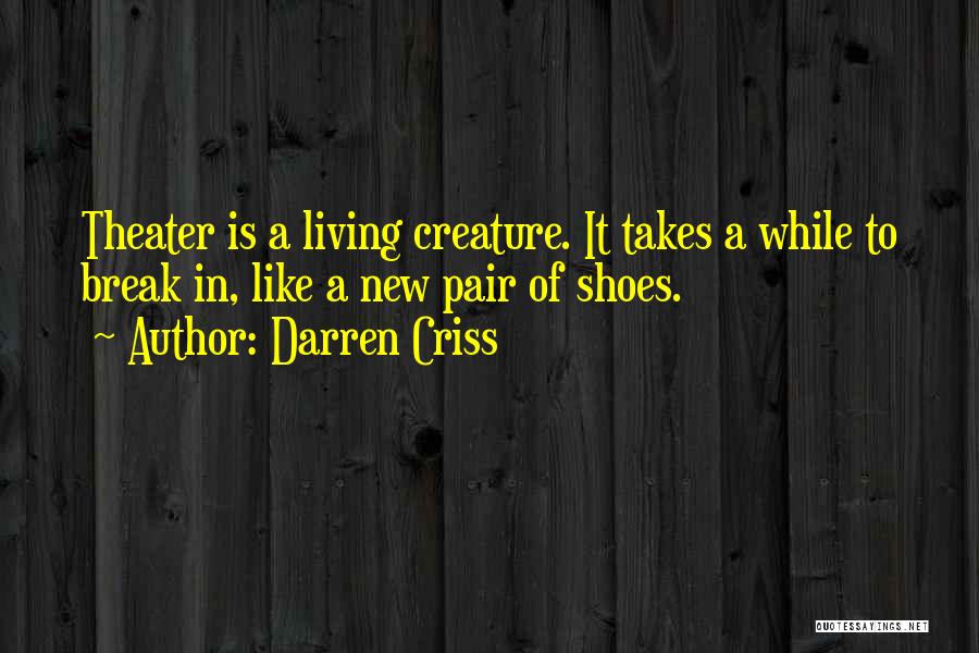Living In My Shoes Quotes By Darren Criss