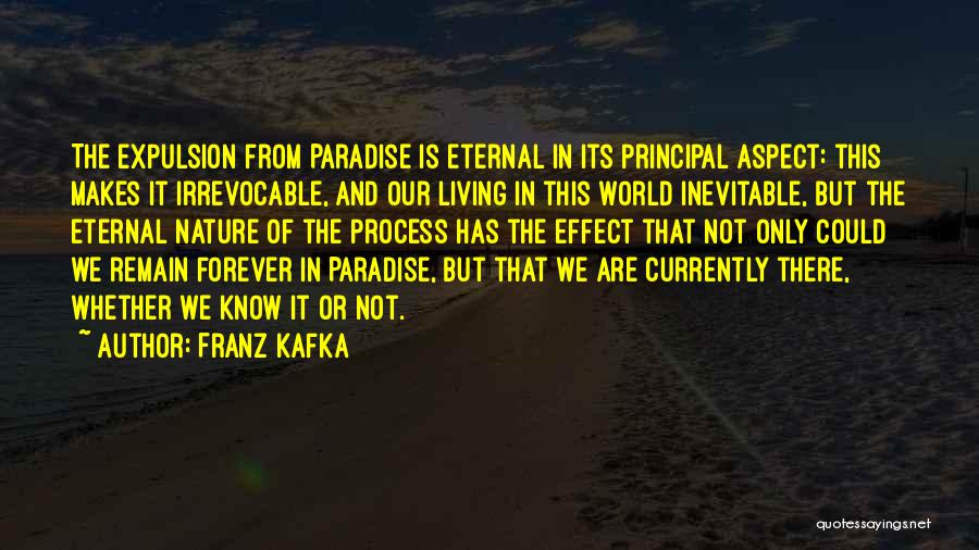 Living In Present Moment Quotes By Franz Kafka