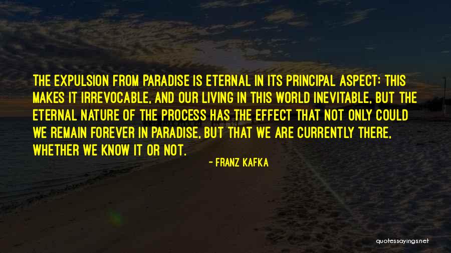 Living In Present Moment Quotes By Franz Kafka