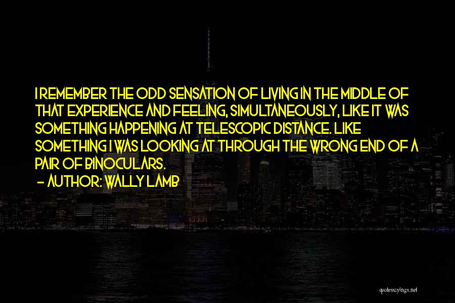 Living In Reality Quotes By Wally Lamb