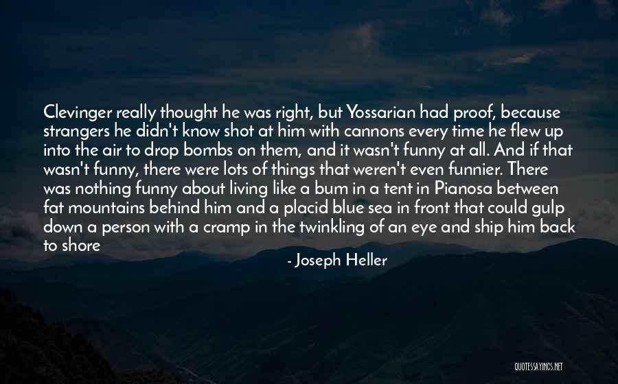 Living In The Mountains Quotes By Joseph Heller