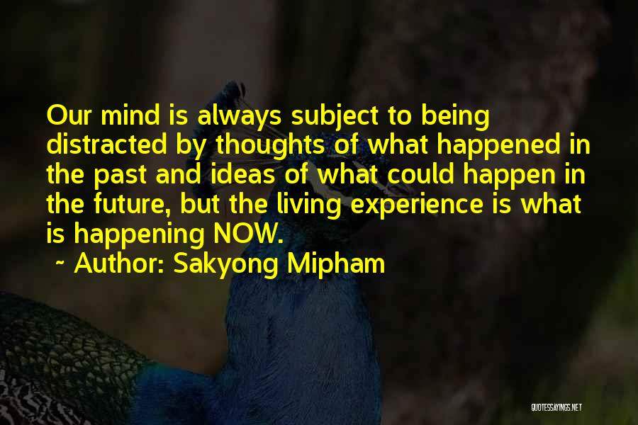 Living In The Past And Future Quotes By Sakyong Mipham