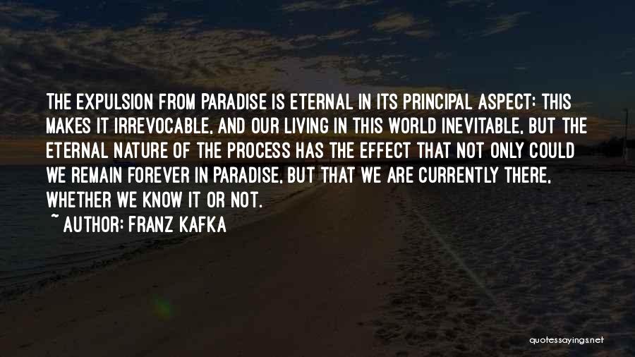 Living In The Present Moment Quotes By Franz Kafka