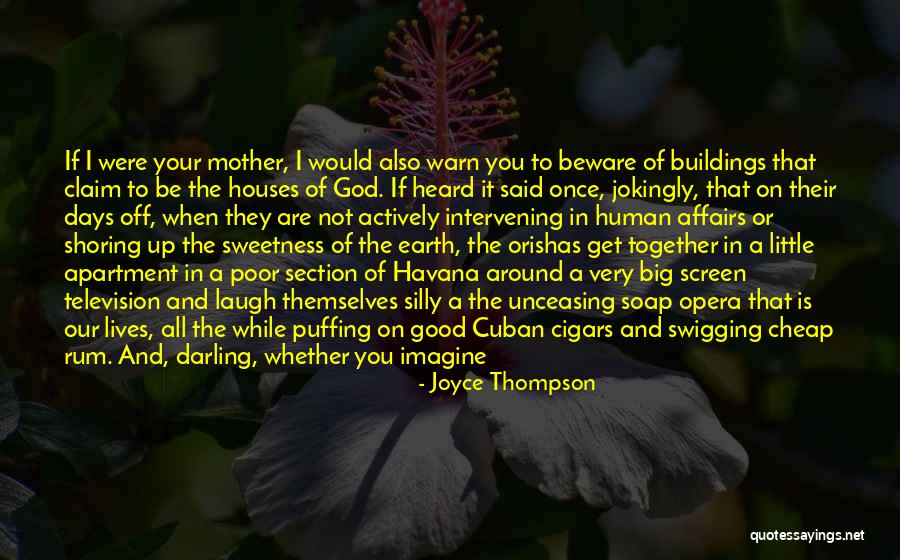 Living In The White House Quotes By Joyce Thompson Living In The White House Quotes By Joyce Thompson