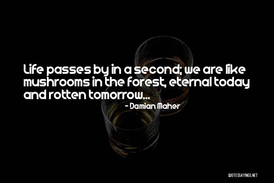 Living In Today Quotes By Damian Maher Living In Today Quotes By Damian Maher