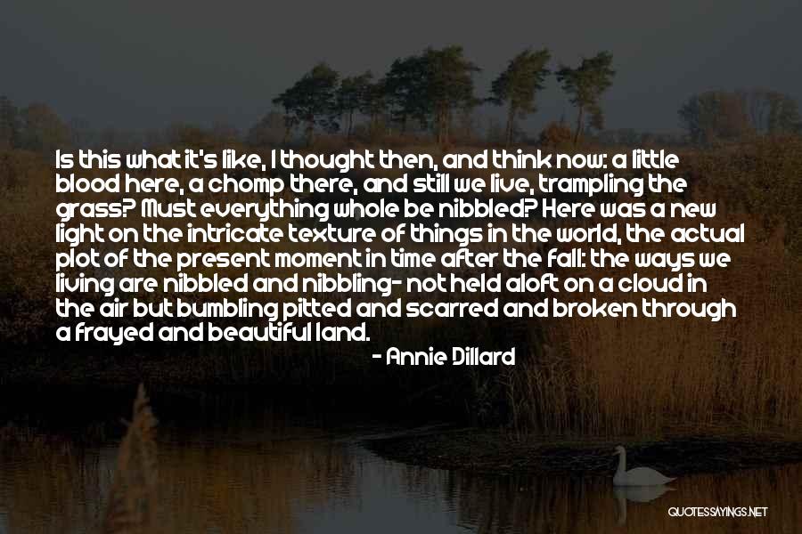 Living In Your Own Little World Quotes By Annie Dillard