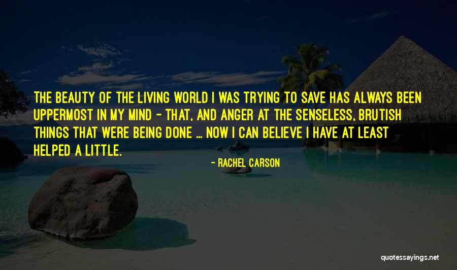 Living In Your Own Little World Quotes By Rachel Carson