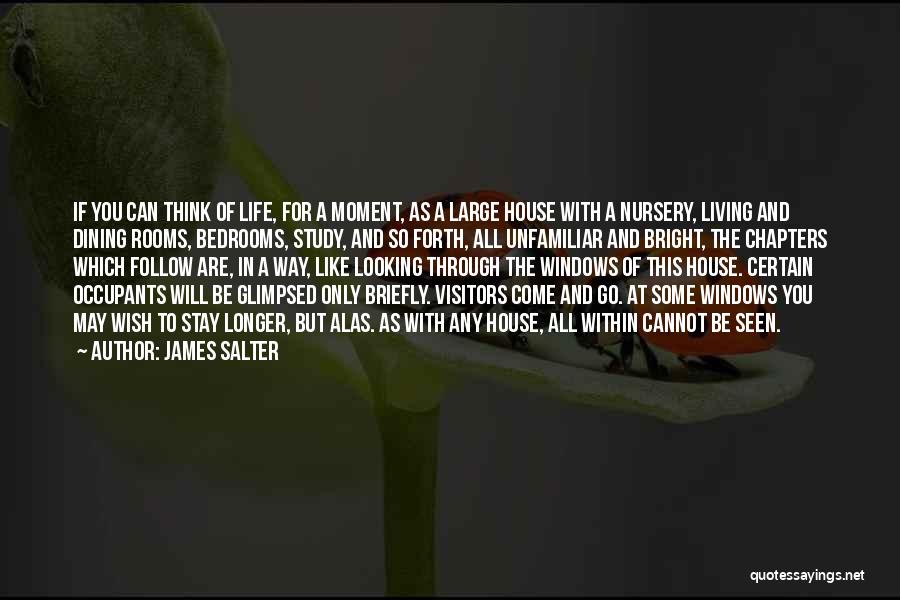 Living Large Quotes By James Salter