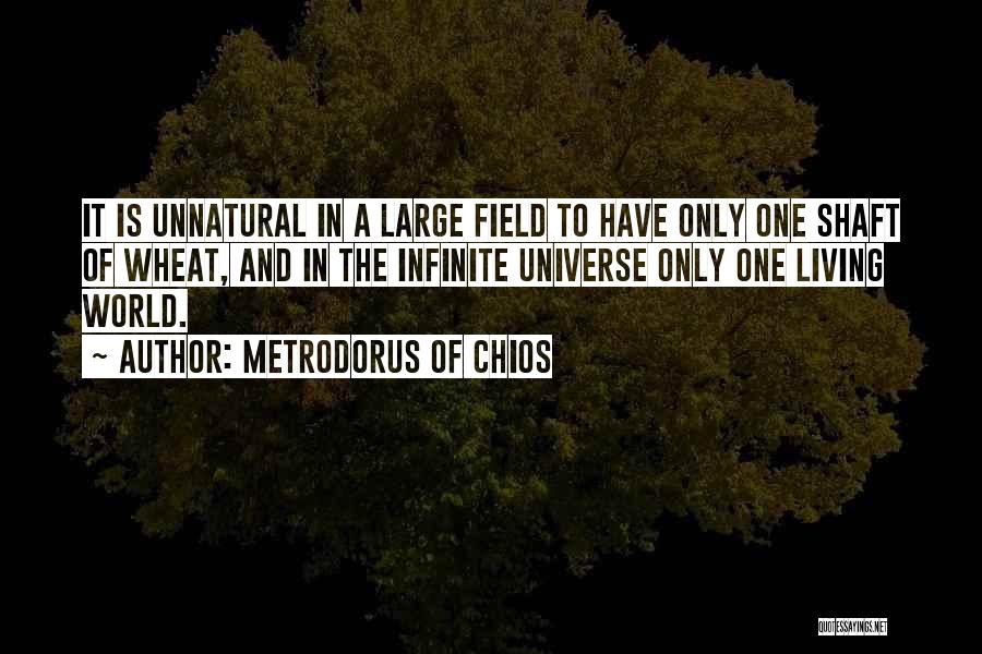 Living Large Quotes By Metrodorus Of Chios