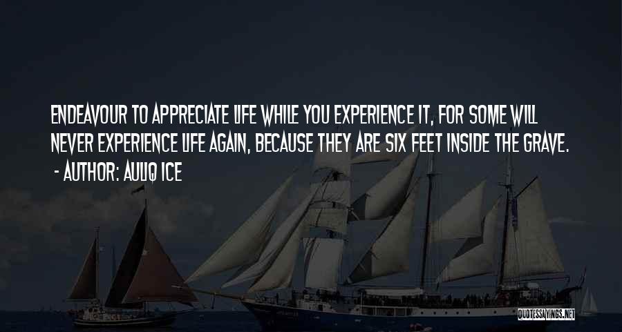 Living Life Again Quotes By Auliq Ice