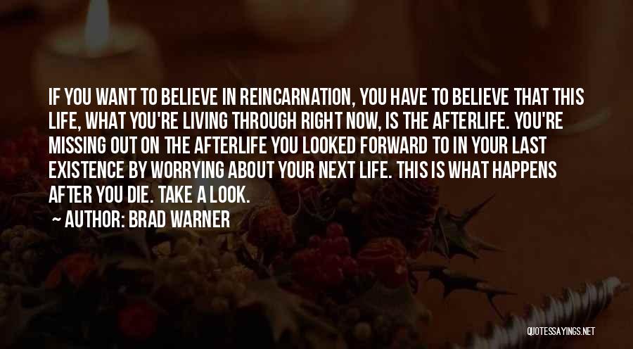 Living Life And Not Worrying Quotes By Brad Warner