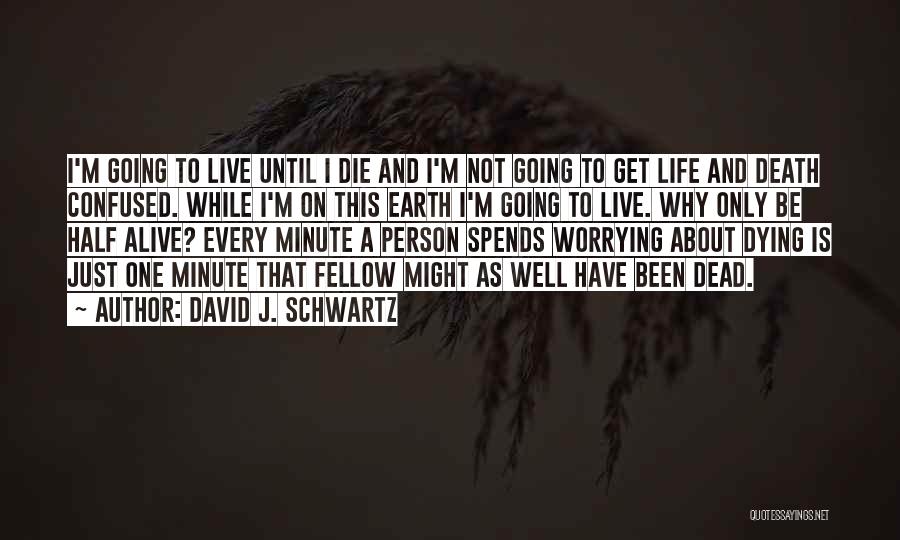 Living Life And Not Worrying Quotes By David J. Schwartz