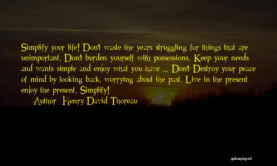 Living Life For Yourself Quotes By Henry David Thoreau