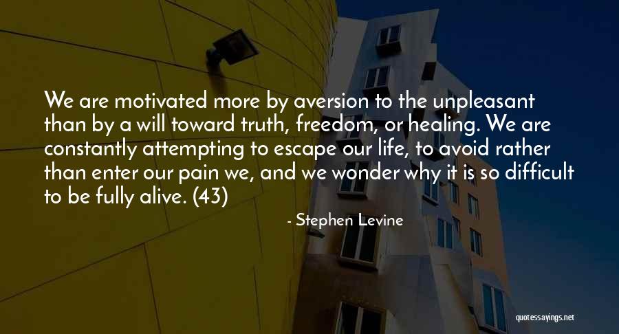 Living Life Fully Quotes By Stephen Levine