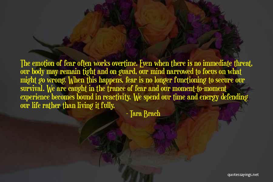 Living Life Fully Quotes By Tara Brach Living Life Fully Quotes By Tara Brach