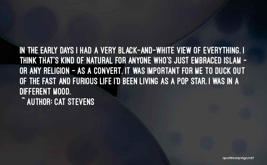 Living Life In Islam Quotes By Cat Stevens