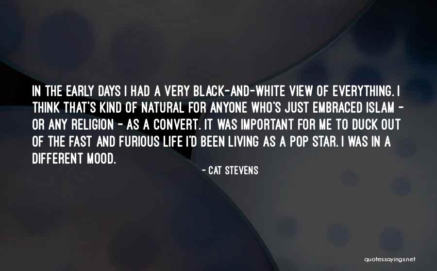 Living Life In Islam Quotes By Cat Stevens