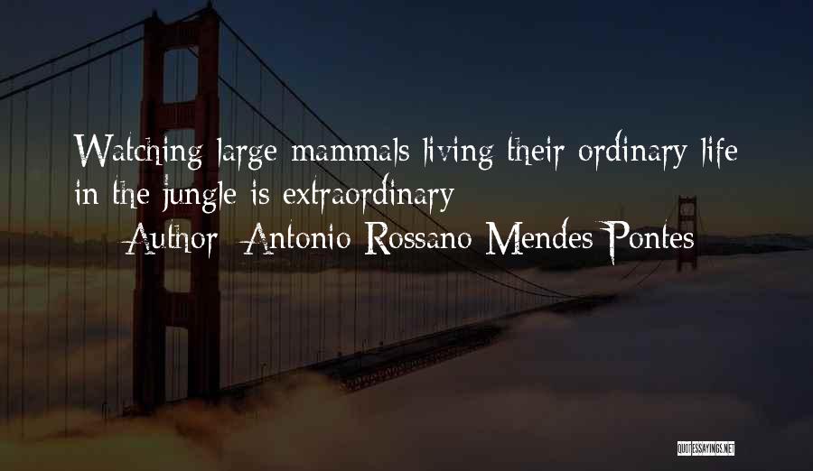 Living Life Large Quotes By Antonio Rossano Mendes Pontes