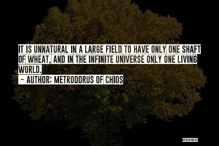 Living Life Large Quotes By Metrodorus Of Chios