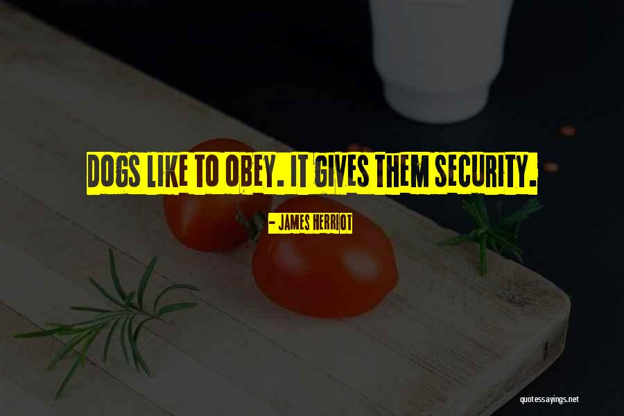 Living Life Openly Quotes By James Herriot Living Life Openly Quotes By James Herriot