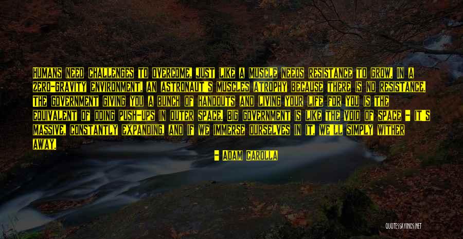 Living Life Simply Quotes By Adam Carolla Living Life Simply Quotes By Adam Carolla