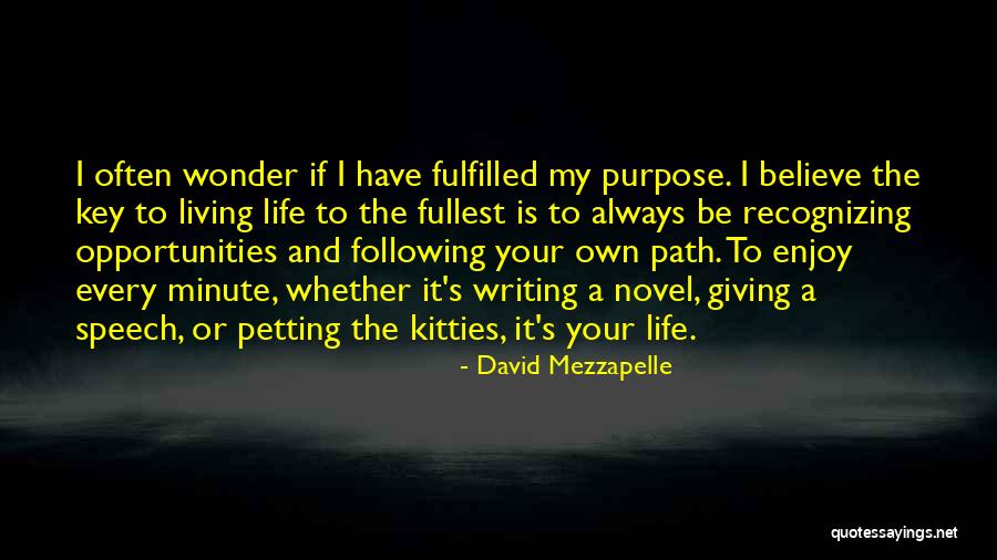 Living Life To Your Fullest Quotes By David Mezzapelle