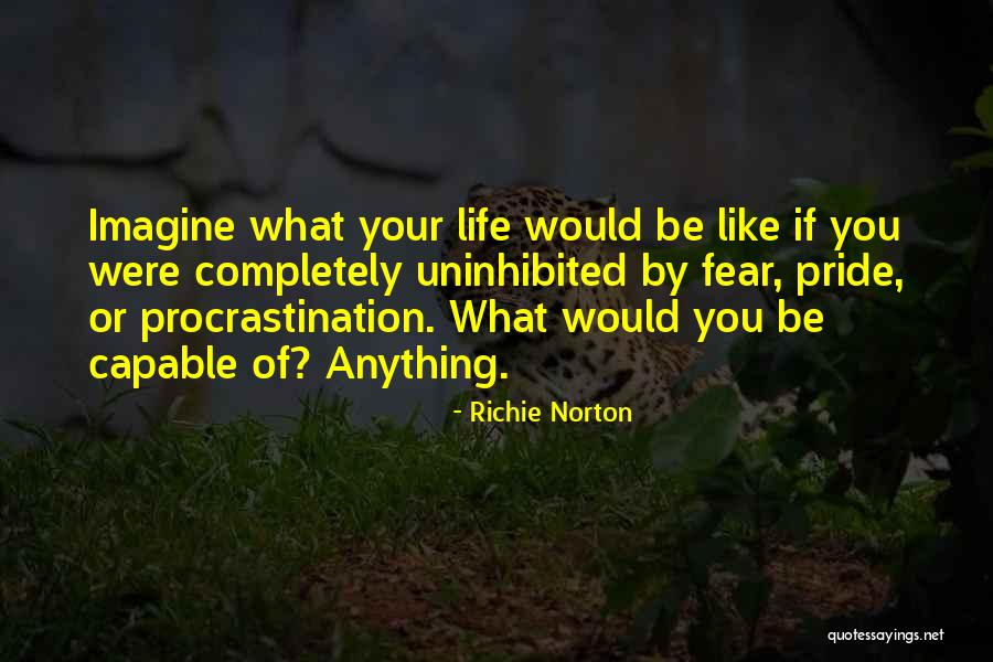 Living Life To Your Fullest Quotes By Richie Norton