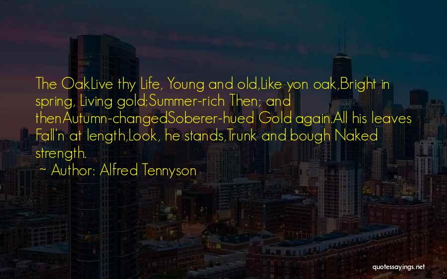 Living Life When You're Young Quotes By Alfred Tennyson