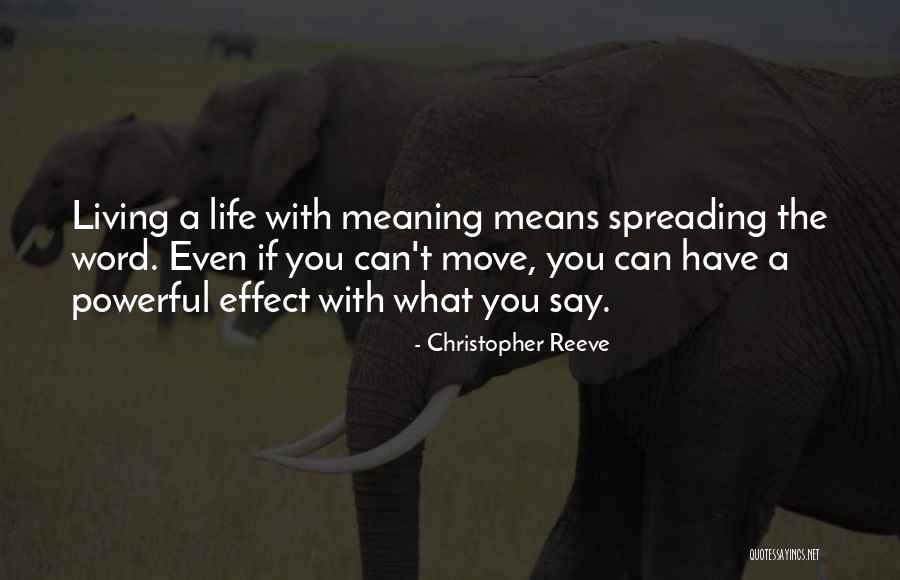 Living Life With What You Have Quotes By Christopher Reeve