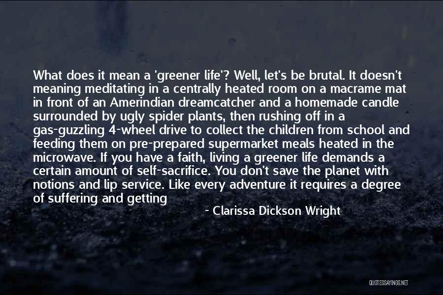 Living Life With What You Have Quotes By Clarissa Dickson Wright