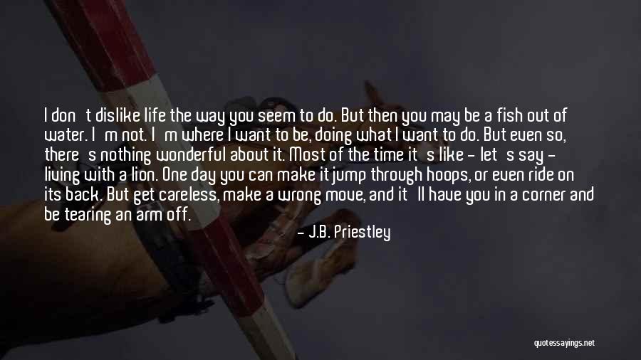 Living Life With What You Have Quotes By J.B. Priestley