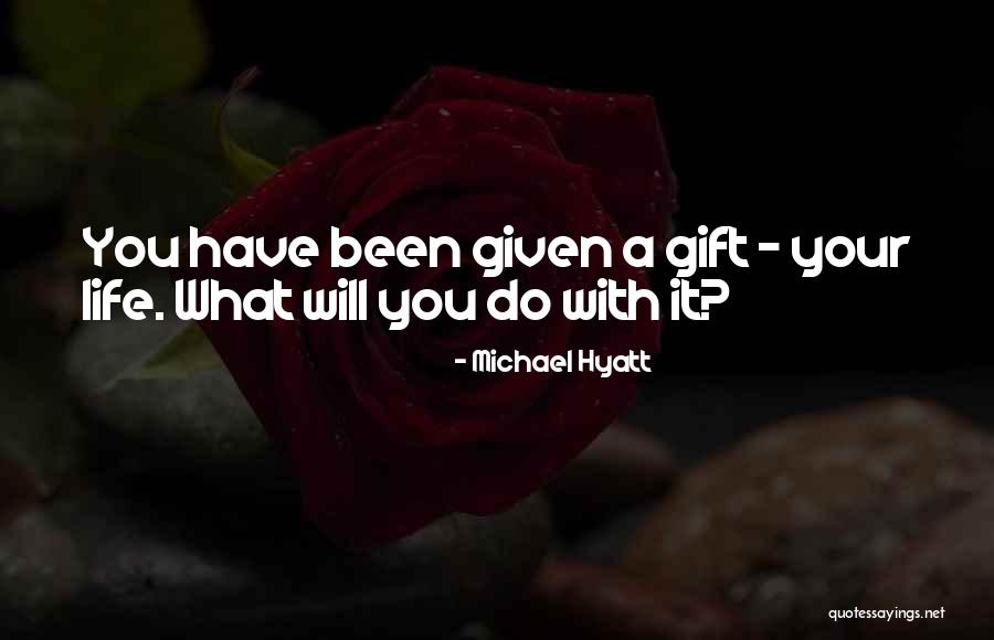 Living Life With What You Have Quotes By Michael Hyatt