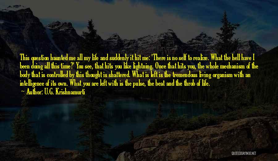 Living Life With What You Have Quotes By U.G. Krishnamurti