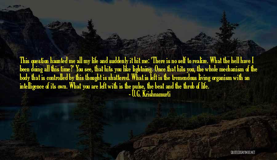 Living Life With What You Have Quotes By U.G. Krishnamurti