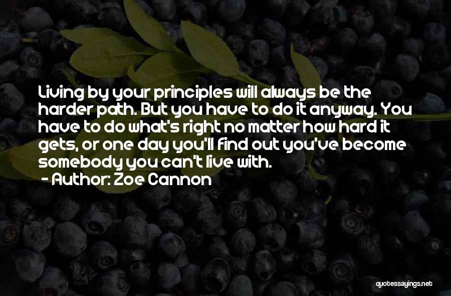 Living Life With What You Have Quotes By Zoe Cannon