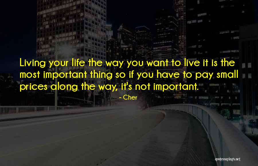 Living Life Your Way Quotes By Cher