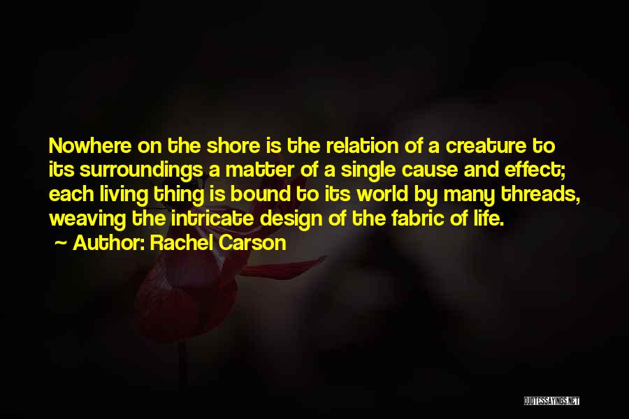Living On The Ocean Quotes By Rachel Carson