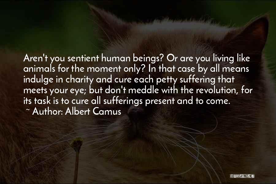 Living Quotes By Albert Camus