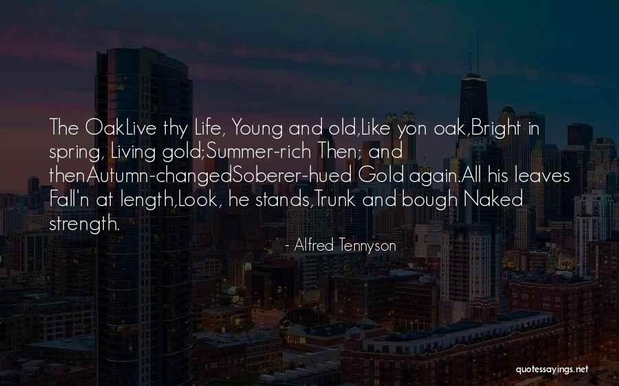 Living Rich Life Quotes By Alfred Tennyson