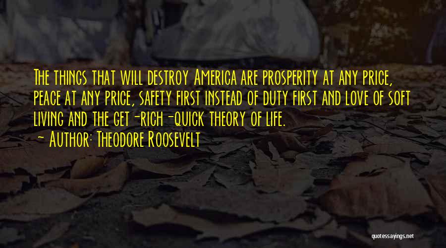 Living Rich Life Quotes By Theodore Roosevelt