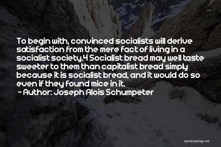 Living Simply Quotes By Joseph Alois Schumpeter