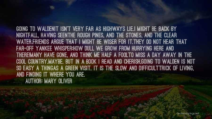 Living So Far Away Quotes By Mary Oliver