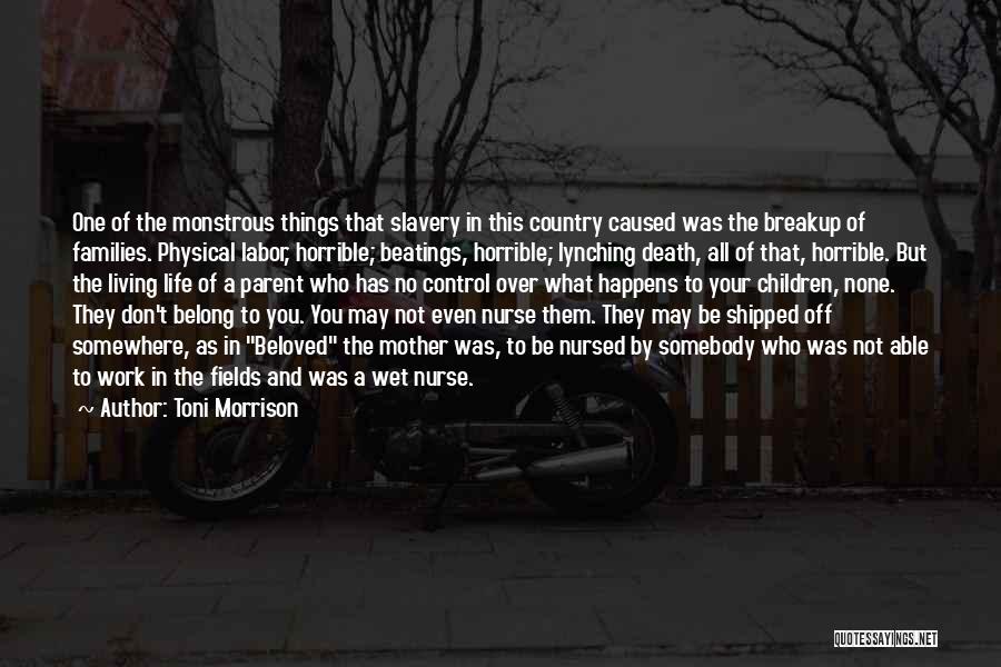 Living The Country Life Quotes By Toni Morrison
