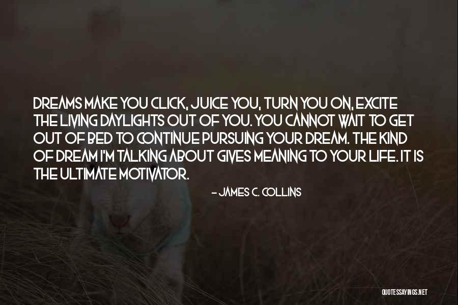 Living The Dream Life Quotes By James C. Collins