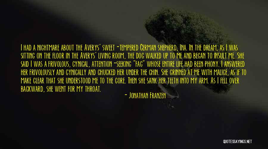 Living The Dream Life Quotes By Jonathan Franzen