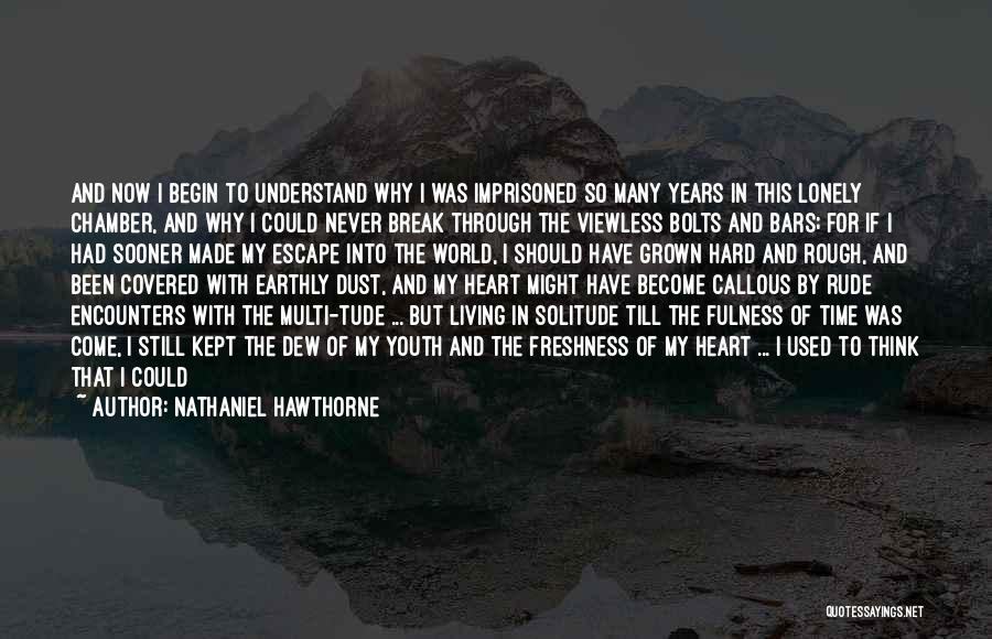 Living The Dream Life Quotes By Nathaniel Hawthorne Living The Dream Life Quotes By Nathaniel Hawthorne