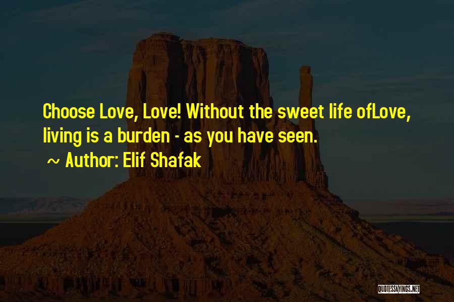 Living The Life You Choose Quotes By Elif Shafak