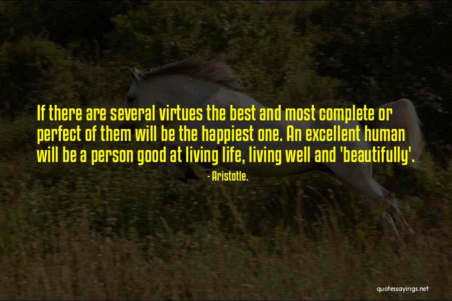 Living The Perfect Life Quotes By Aristotle.