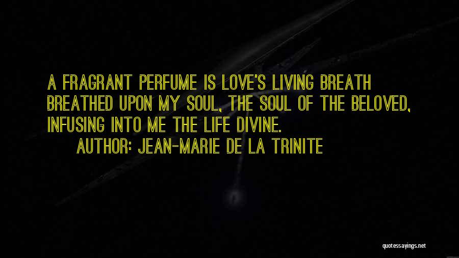 Living The Perfect Life Quotes By Jean-Marie De La Trinite