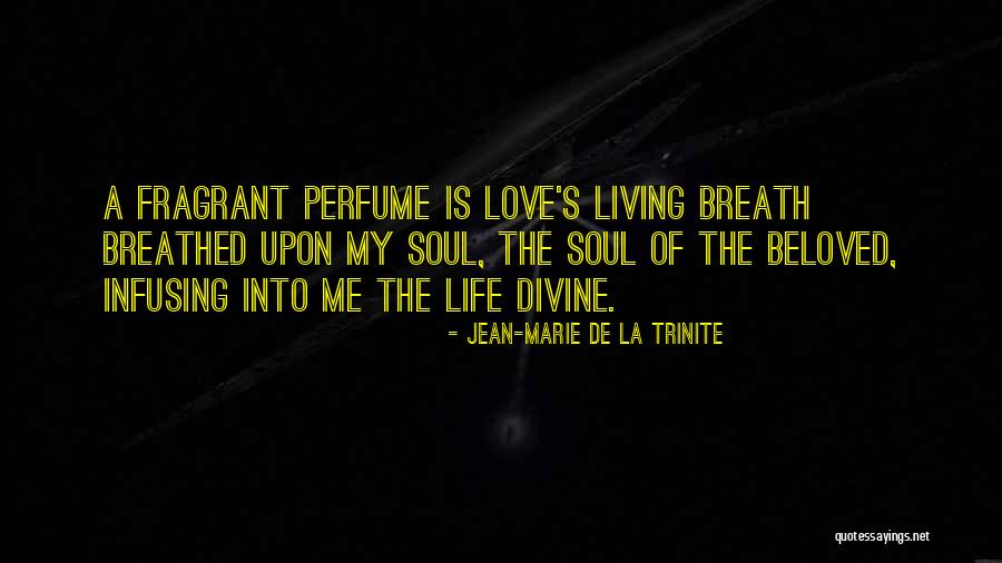 Living The Perfect Life Quotes By Jean-Marie De La Trinite